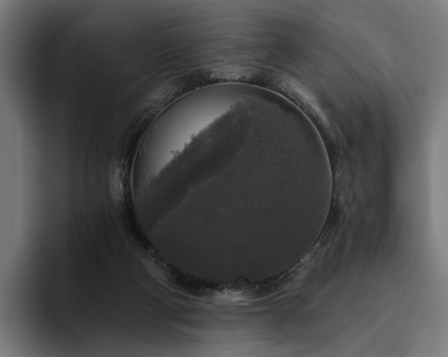 X0000094810114200711161515