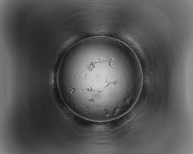 X0000094810115200711161515