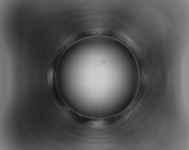 X0000094810118200711161515