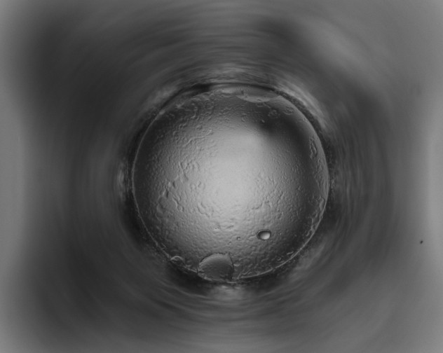 X0000094810119200711161515