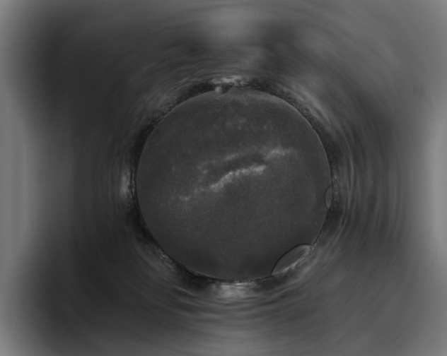 X0000094810134200711161515