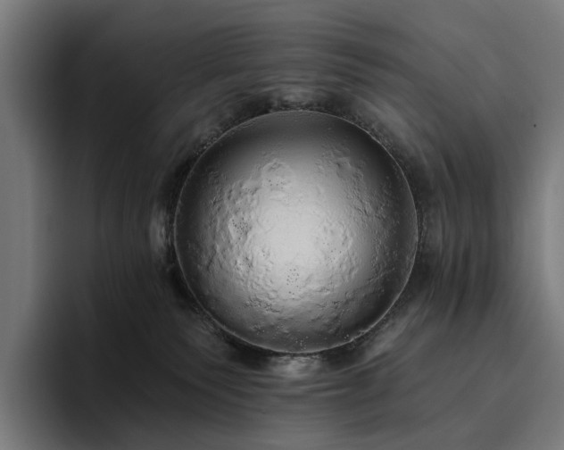 X0000094810135200711161515