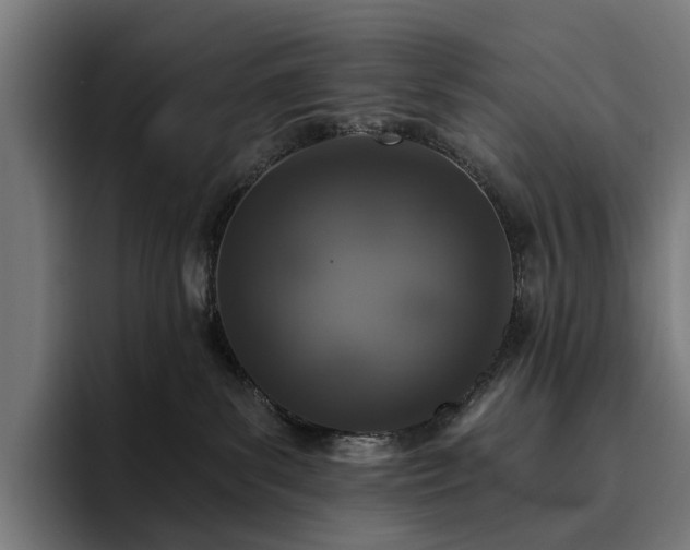 X0000094810139200711161515