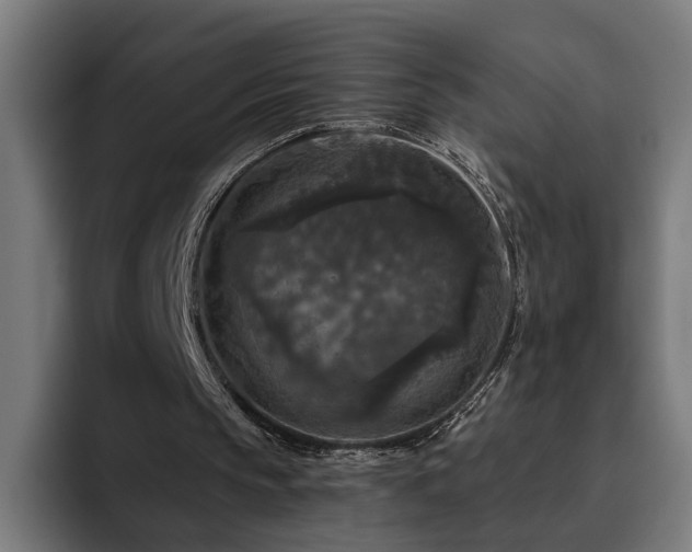 X0000094810145200711161514