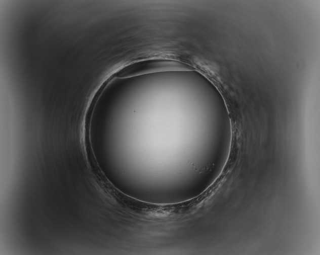 X0000094810148200711161514