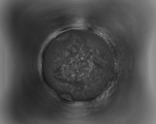 X0000094810149200711161514