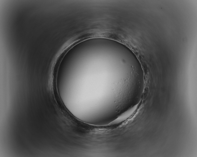 X0000094810150200711161514