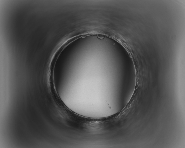 X0000094810152200711161514