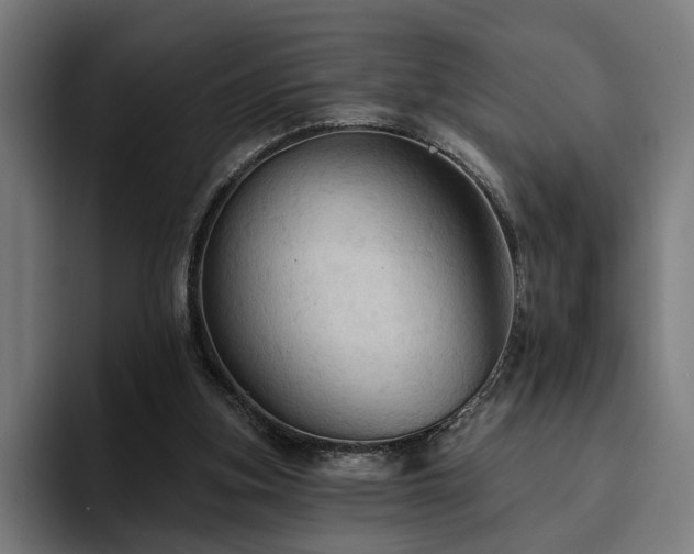 X0000094810155200711161514