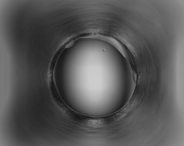 X0000094810160200711161515