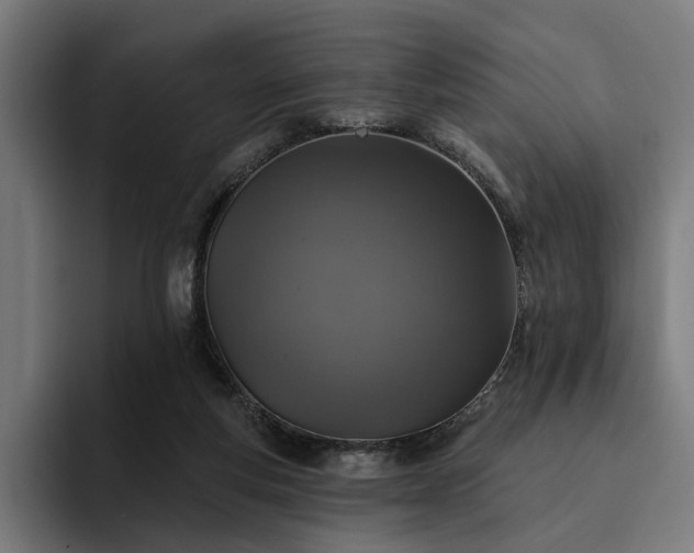 X0000094810163200711161515