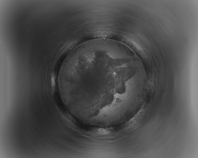 X0000094810166200711161515