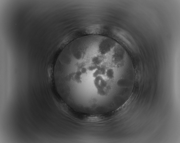 X0000094810171200711161515