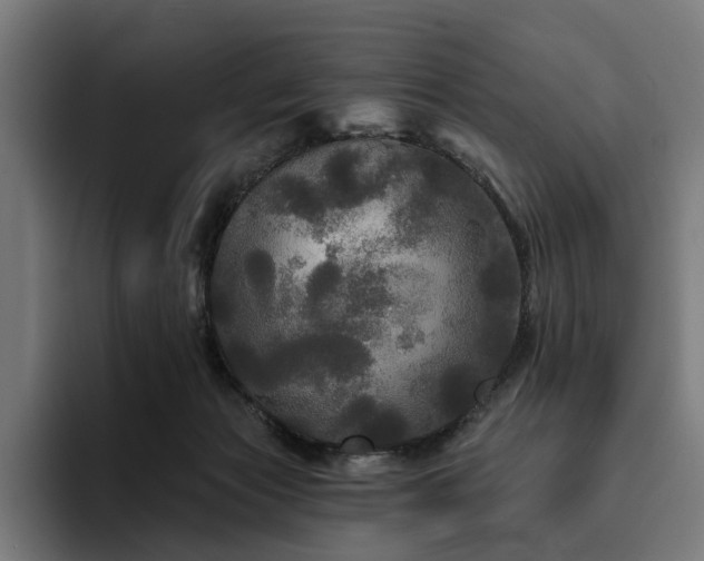 X0000094810173200711161515