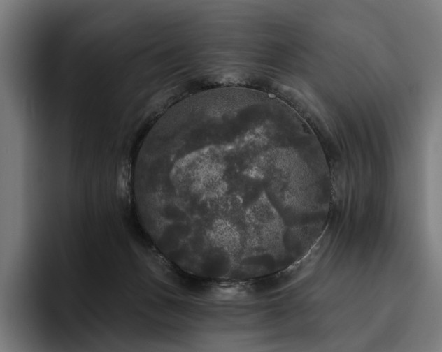 X0000094810175200711161515