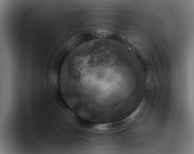 X0000094810178200711161515