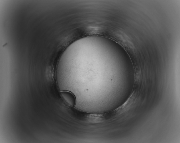 X0000094810179200711161515