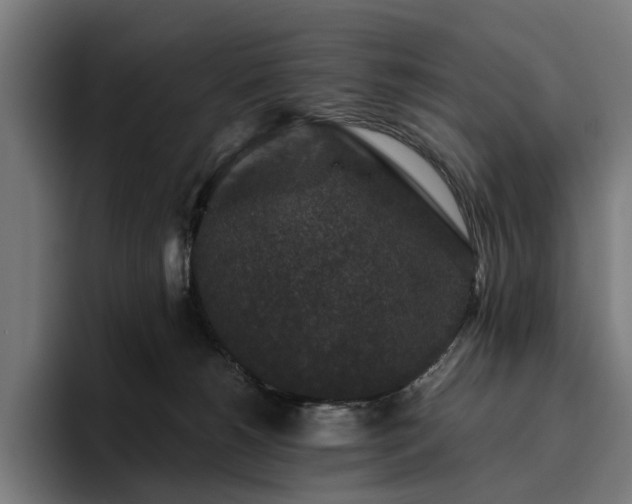 X0000094810180200711161515