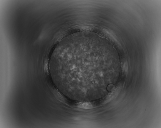 X0000094810185200711161515