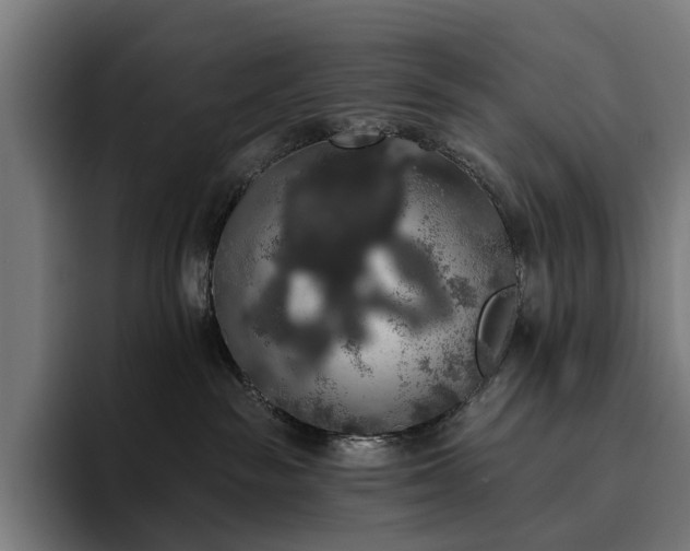 X0000094810189200711161515