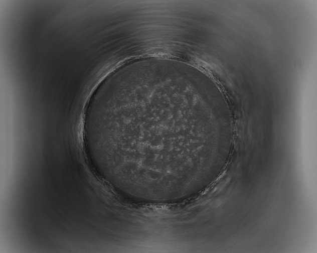 X0000094810194200711161514