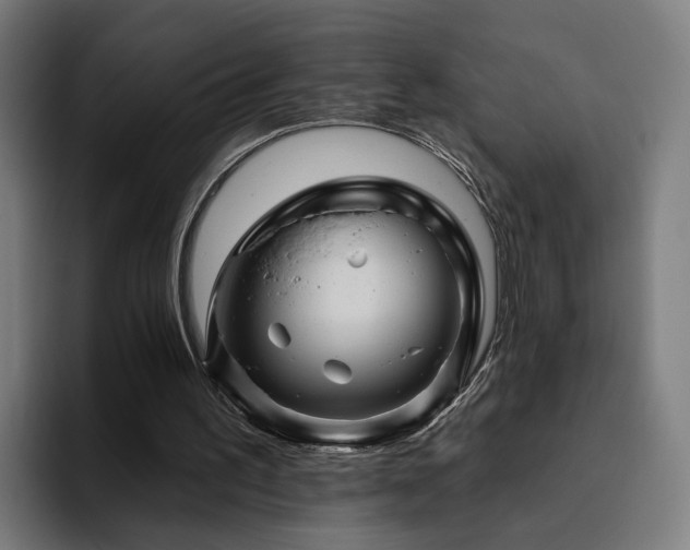 X0000094810195200711161514