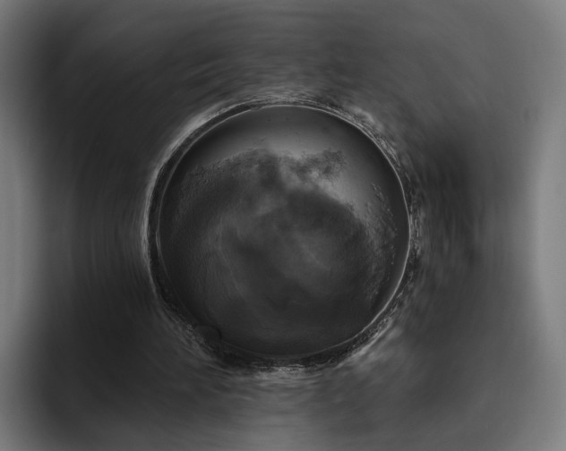 X0000094810196200711161514