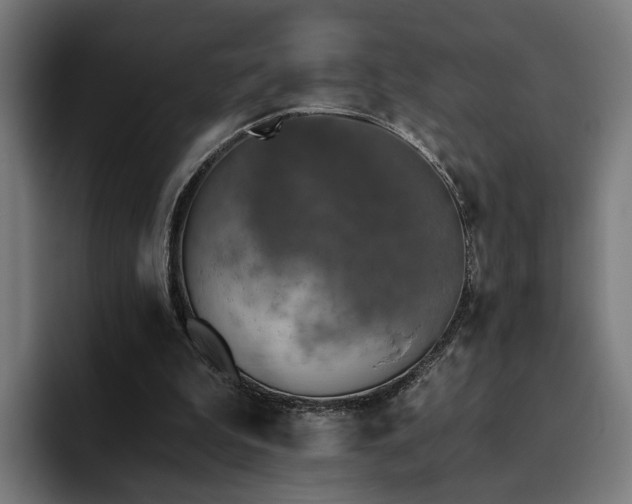 X0000094810199200711161514