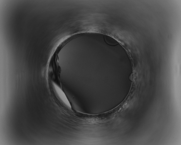 X0000094810200200711161514