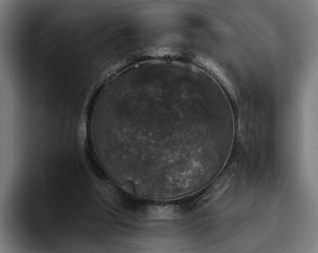 X0000094810202200711161514