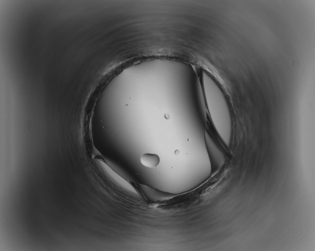 X0000094810203200711161514