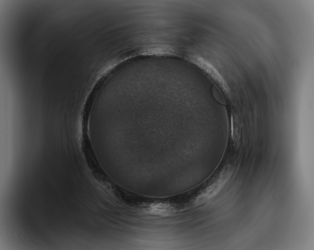 X0000094810204200711161514