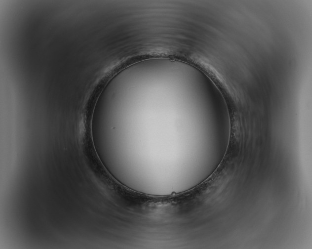 X0000094810208200711161514