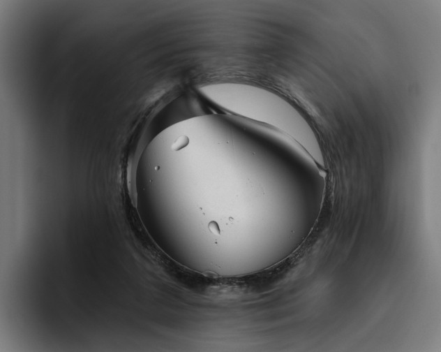 X0000094810211200711161514