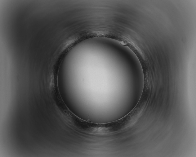 X0000094810212200711161514