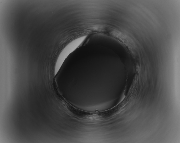 X0000094810219200711161514