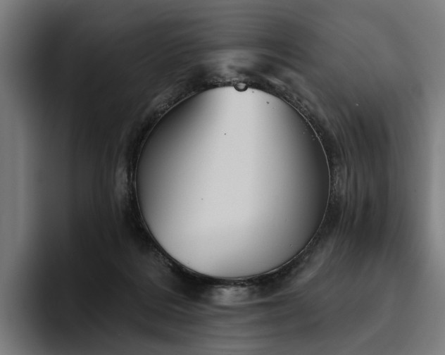 X0000094810220200711161514