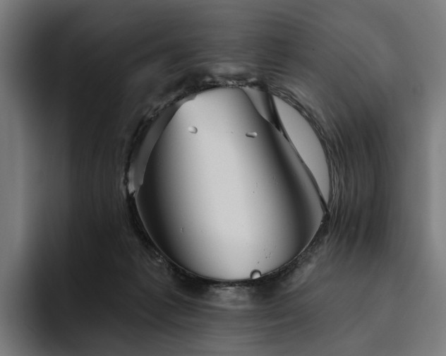 X0000094810221200711161514