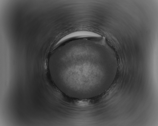 X0000094810232200711161514