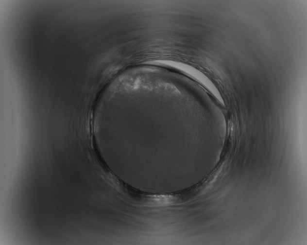 X0000094810233200711161514