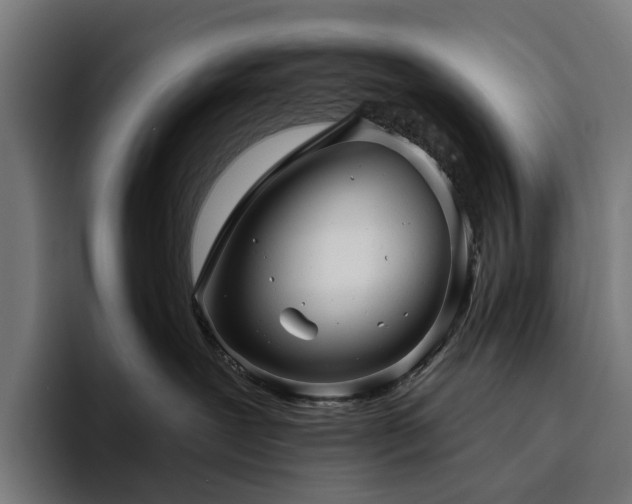 X0000094810239200711161514