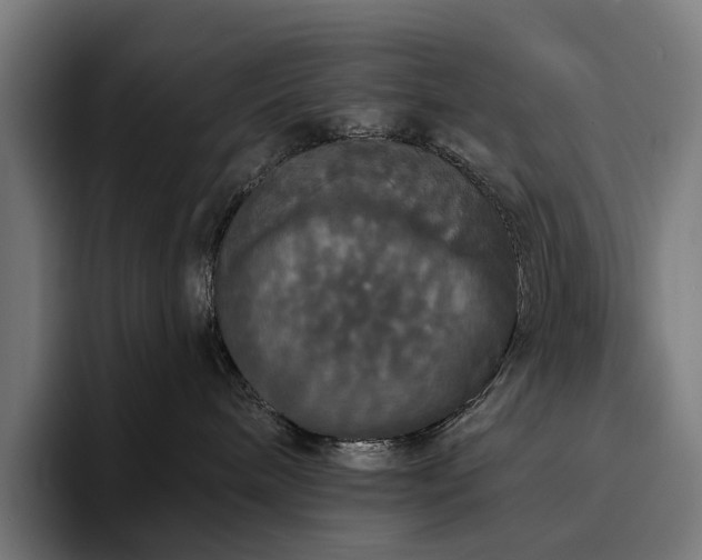 X0000094810240200711161514