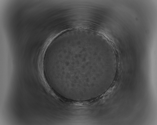 X0000094810241200711161513