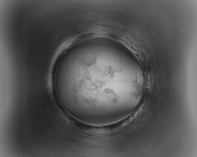 X0000094810245200711161513