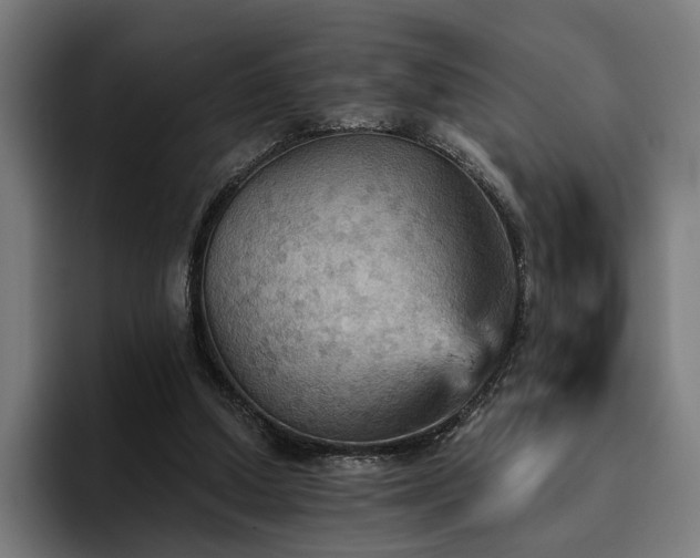 X0000094810250200711161513