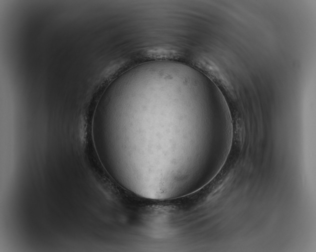 X0000094810255200711161513