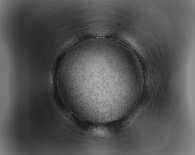 X0000094810258200711161513