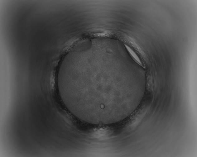 X0000094810259200711161513