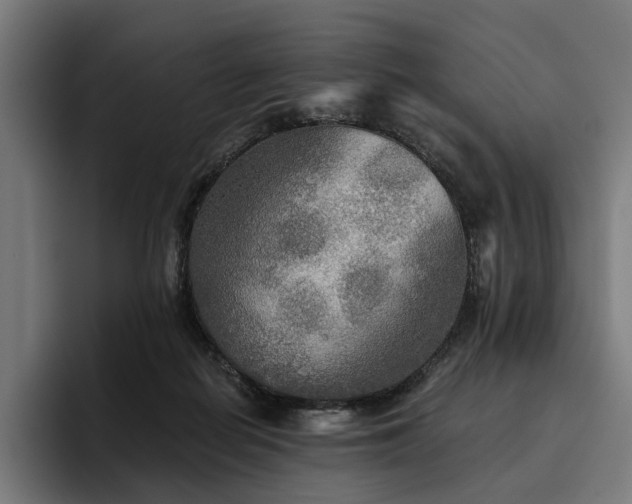 X0000094810266200711161513