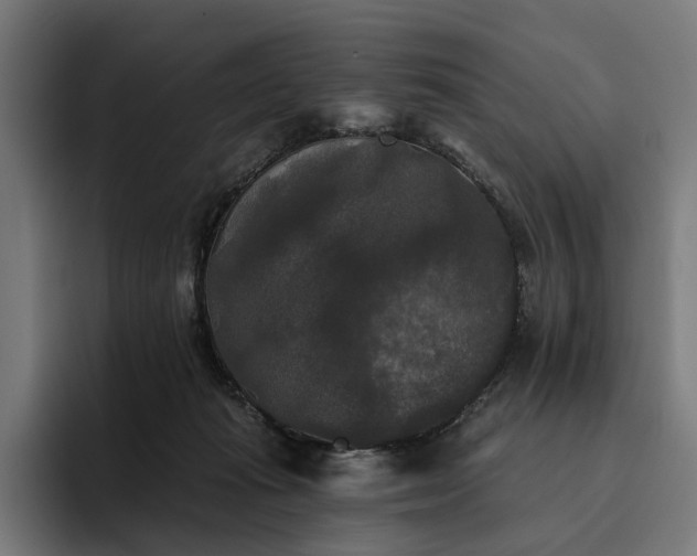 X0000094810269200711161513